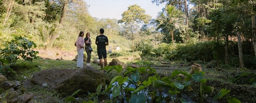 people walking through a forest, surrounded by trees and rocks
