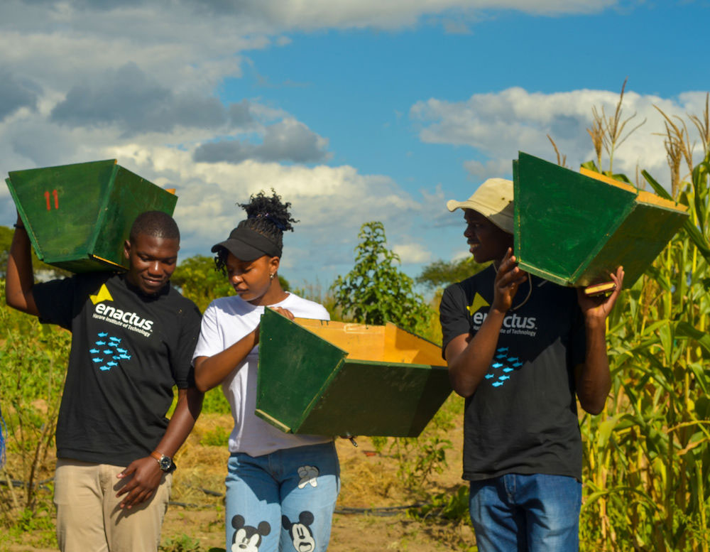 Three people walk together outside holding wooden boxes