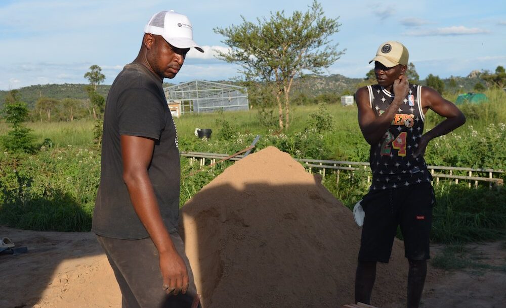Two men stand outside