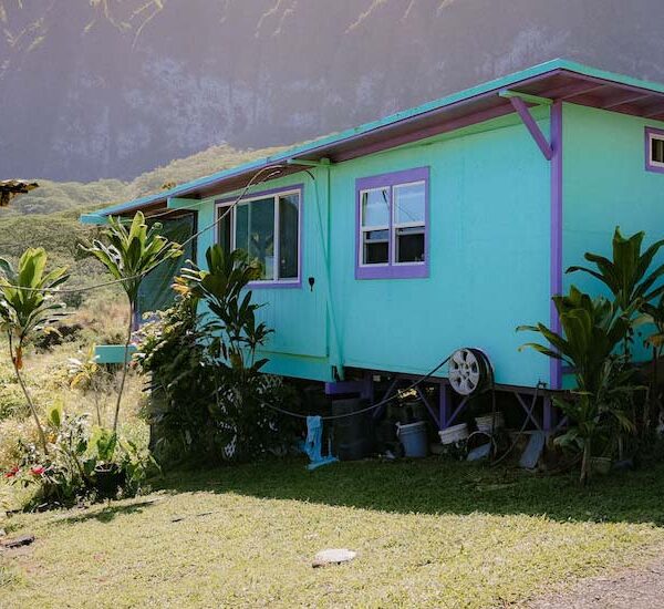 Moving the Needle on Universal and Meaningful Access  Thumbnail